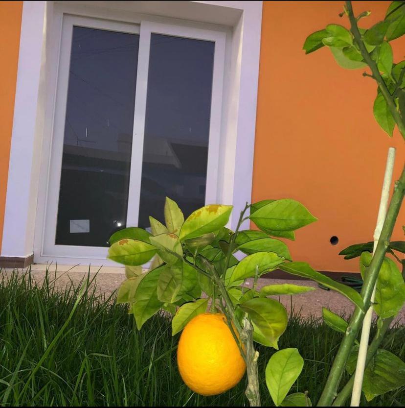 Orange Guest House Sagres Luaran gambar